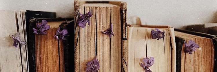 ElinVerw's profile banner image