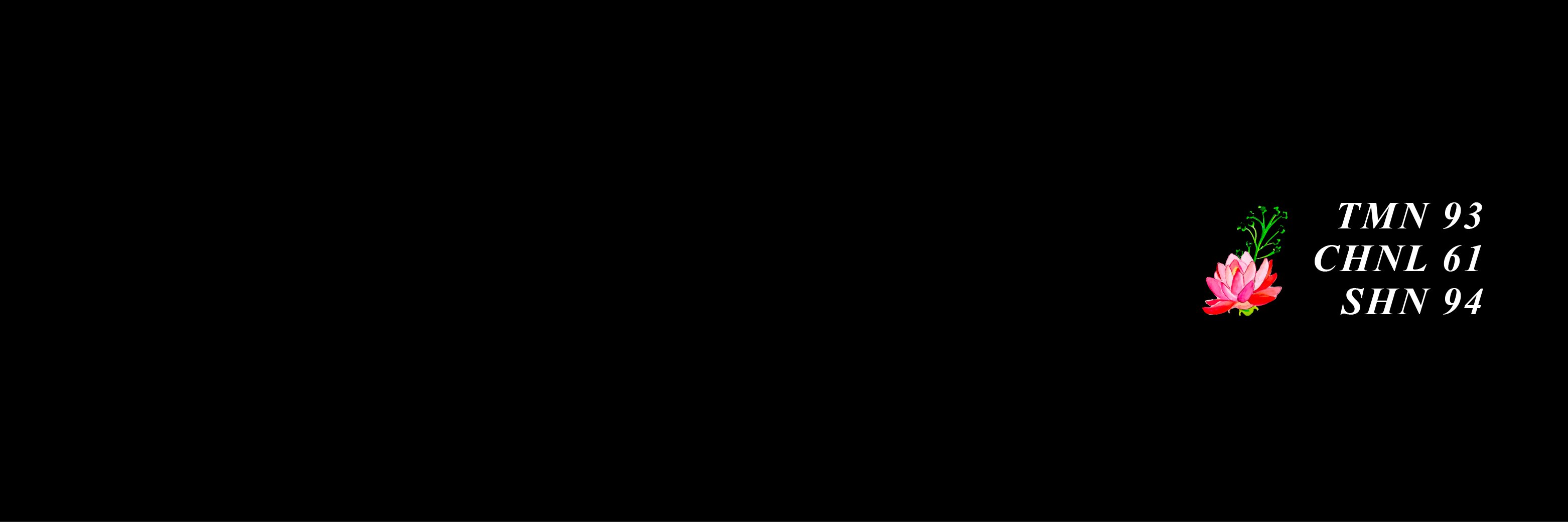chefinha ☽̶☾ ✨️ 🇧🇷 banner