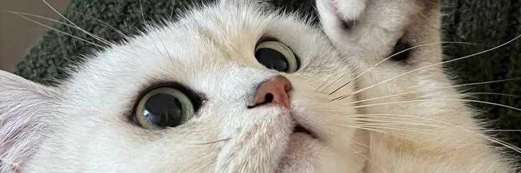 munivexd's profile banner image