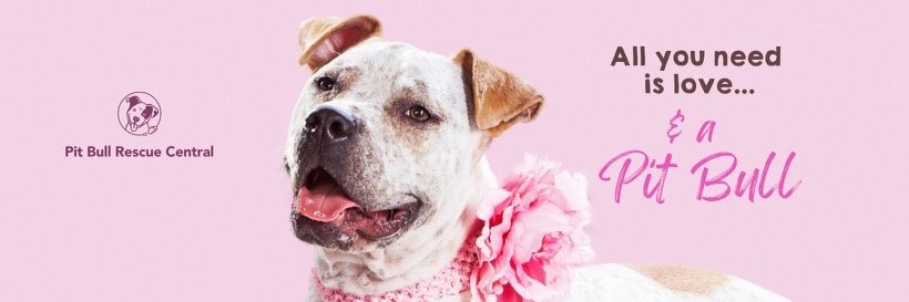 PitBullRescueCentral banner