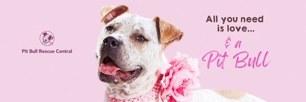 PBRCtweets Profile Banner
