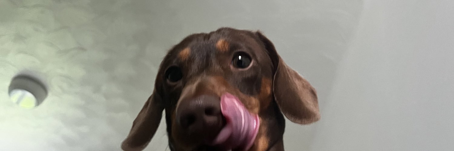 P0PPNK's profile banner image
