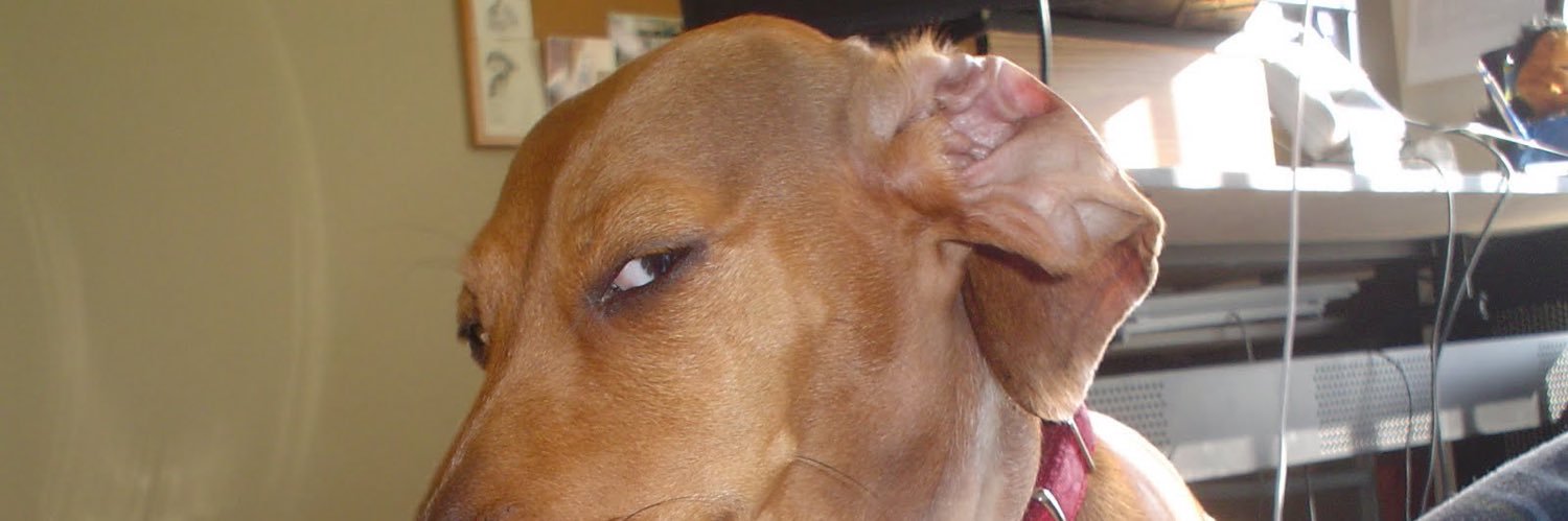 christograph1's profile banner image