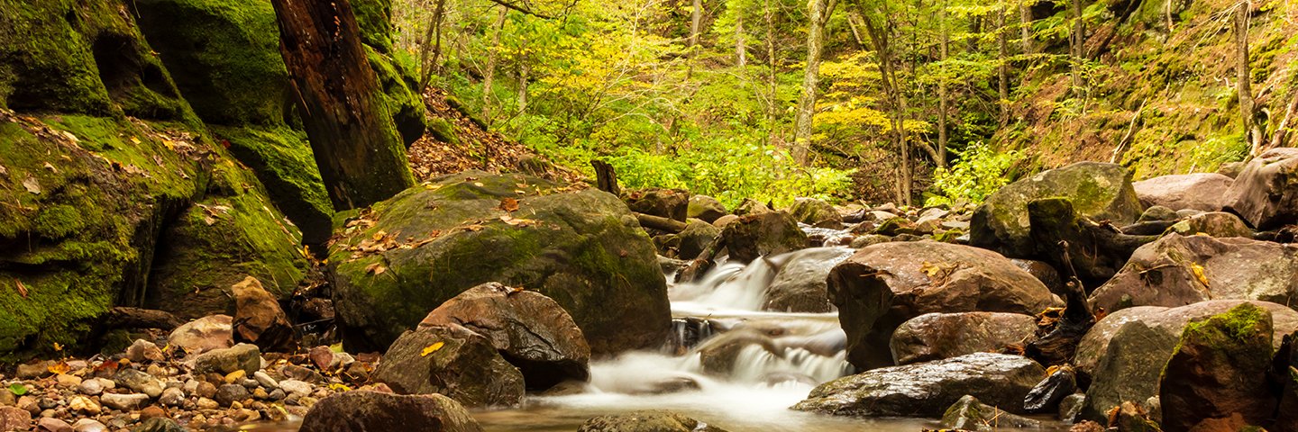 Matthew J. Kirsch Photography banner