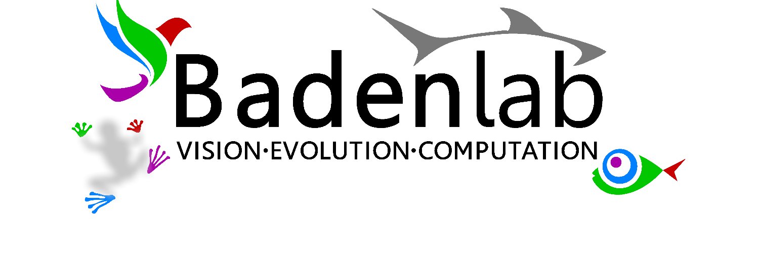 Tom Baden's banner