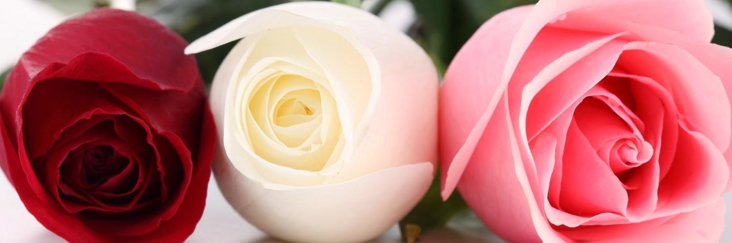 Kara Greenglass Rose banner