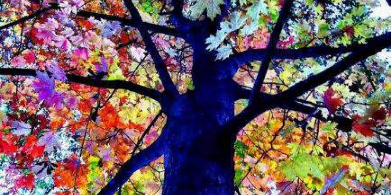 Milequilla's profile banner image