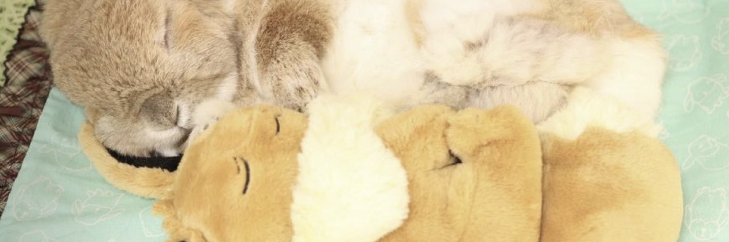 닷(.) banner