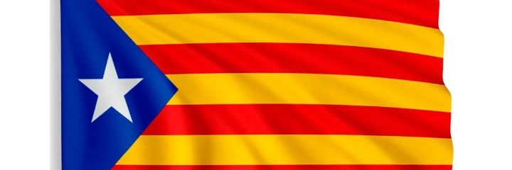 El Veterano 🏴󠁧󠁢󠁥󠁮󠁧󠁿🧅 banner