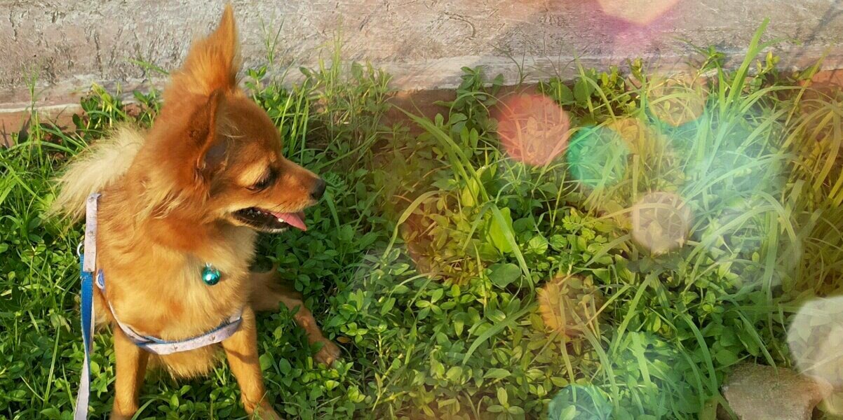 VeronicaHeniS's profile banner image