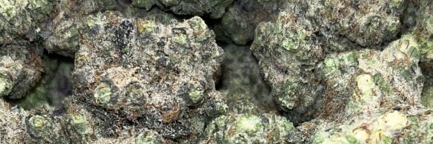 highzonerangsit's profile banner image