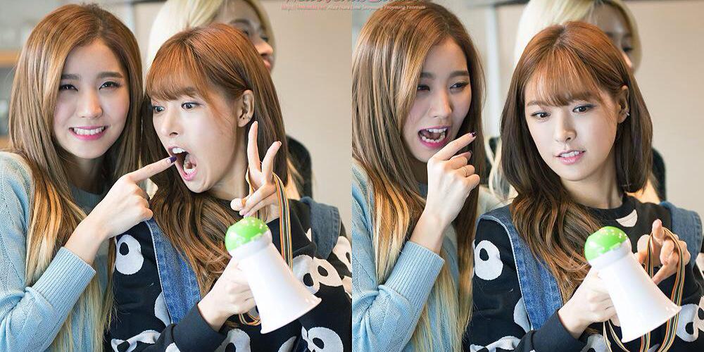 alicebang_'s profile banner image