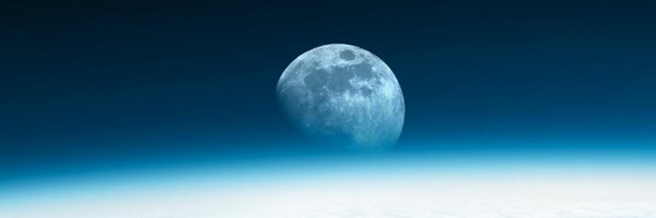 fung Profile Banner