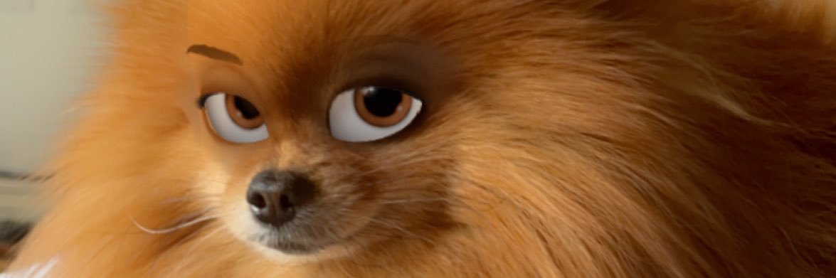 catters's profile banner image
