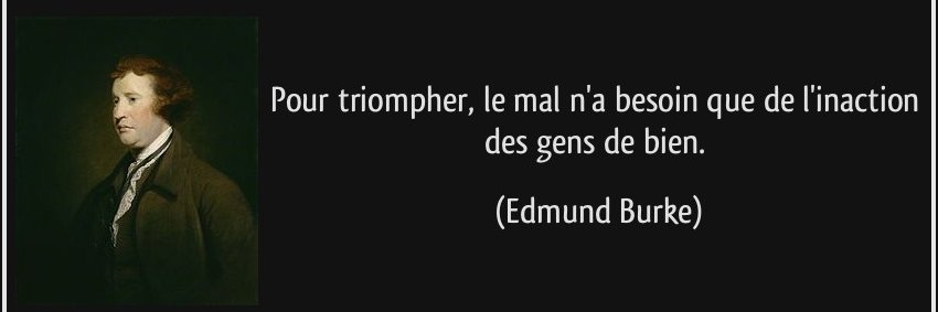 Brainstormer Luc banner