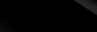 l banner