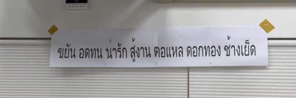 Gingphaai's profile banner image