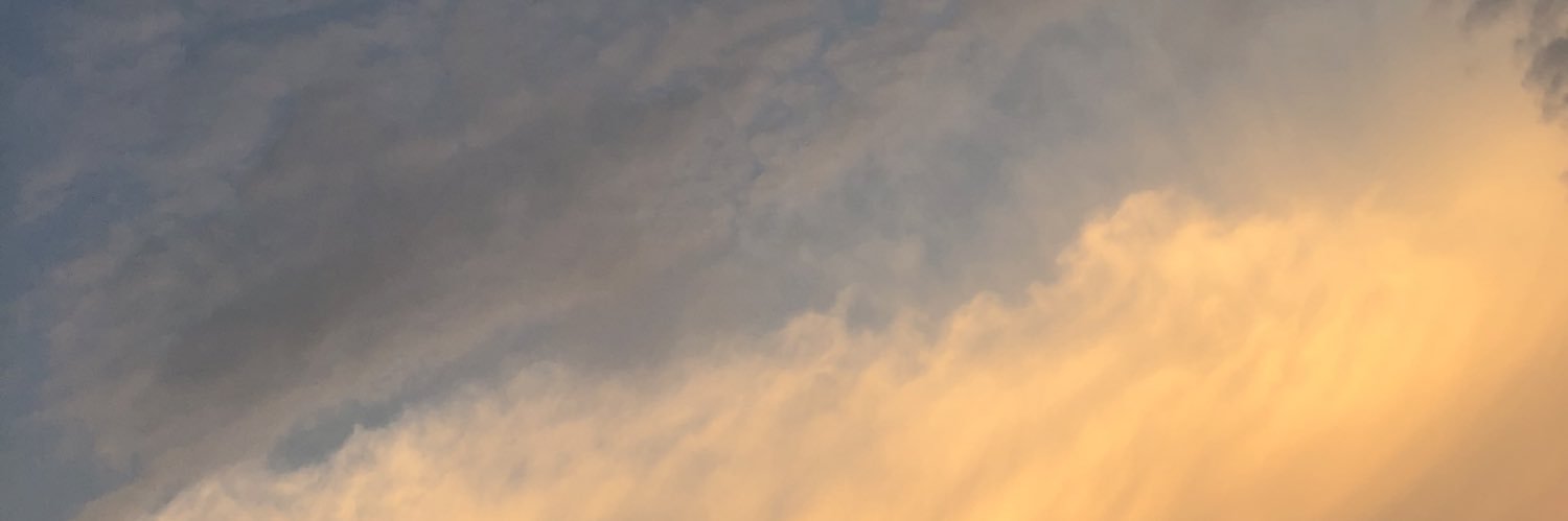 Lauriis_5's profile banner image