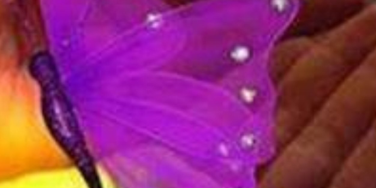 ssjoyssjoy's profile banner image