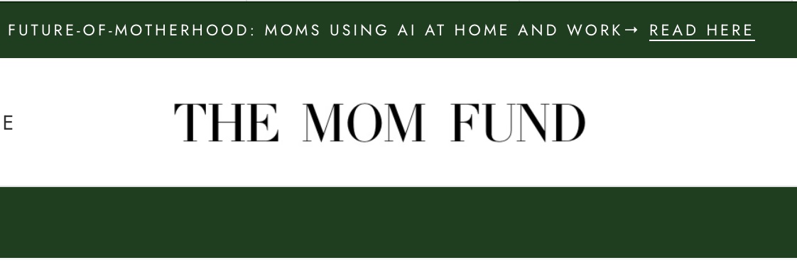themomfundco's profile banner image