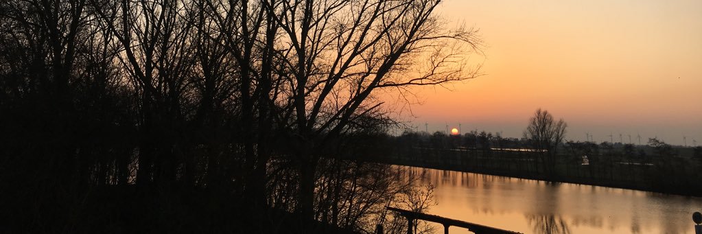 FelixLingenau's profile banner image