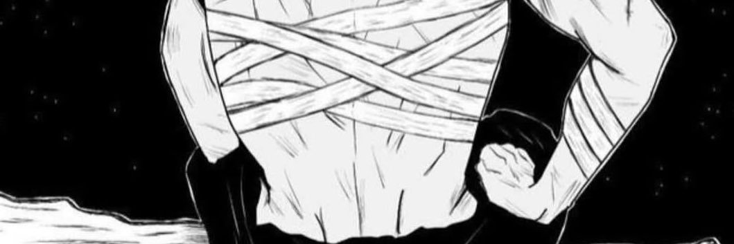 Micio banner