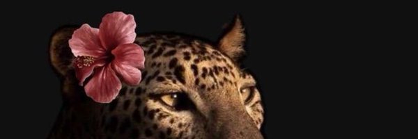 x0x0lic Profile Banner