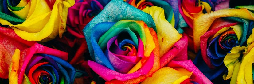 み〜さん⚡️ banner