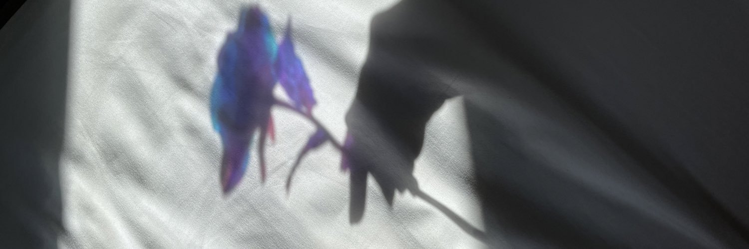 rhygn's profile banner image