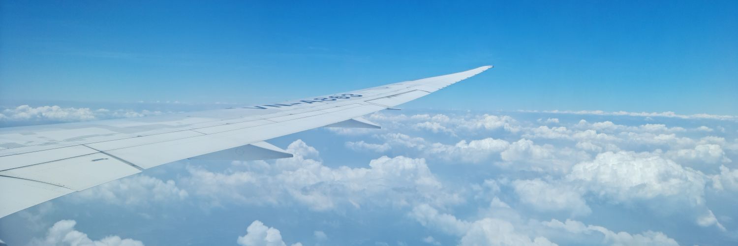 AlbeeSong's profile banner image