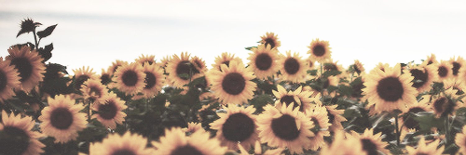 txmascaba's profile banner image