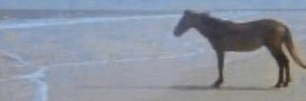 Rodrick Doordash banner