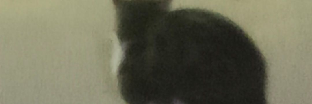 nki2069840's profile banner image