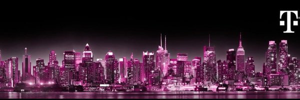 STL_STAM Profile Banner