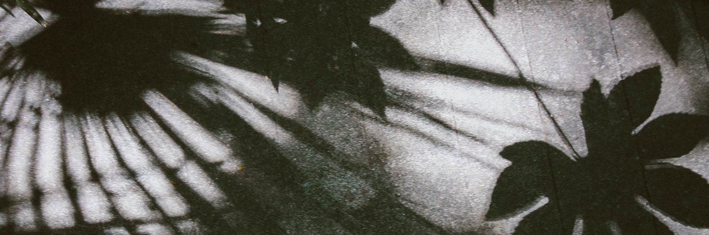 litmuc's profile banner image