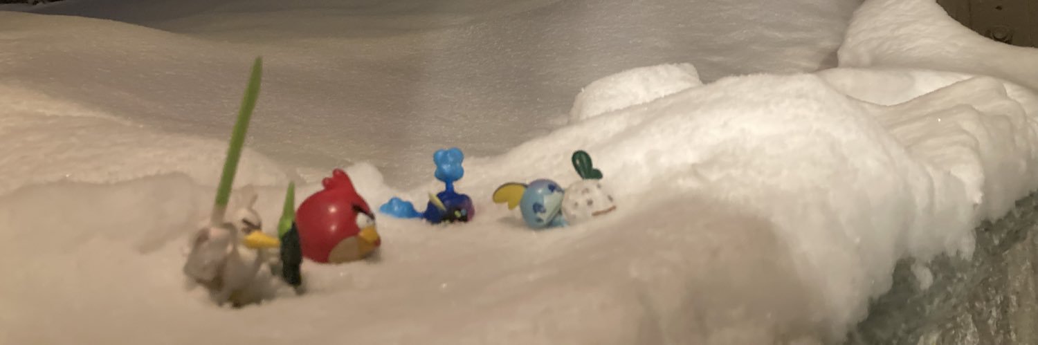 RedTheGamerBirb's profile banner image