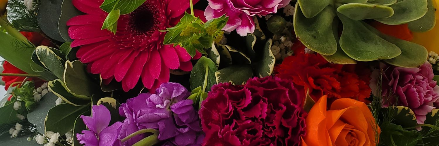annebeeeee's profile banner image