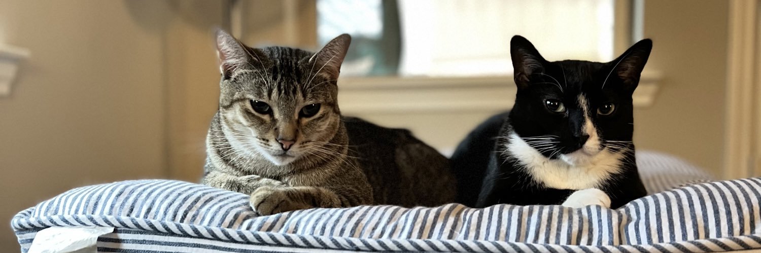 Cameron Tharp, MPH, RT(T) banner