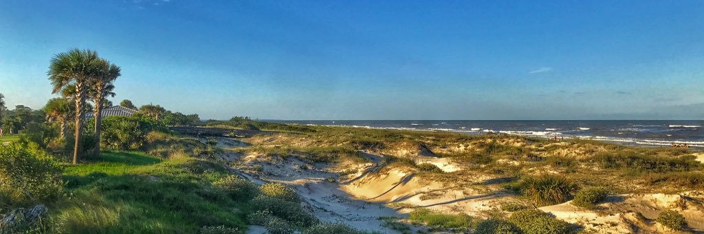 Matthew Certain banner