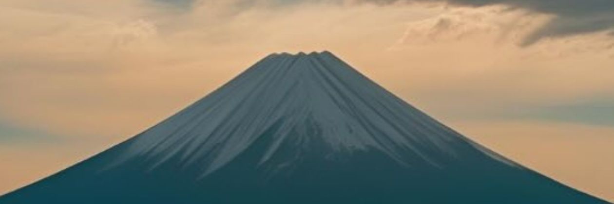 tsuchi_vodka's profile banner image