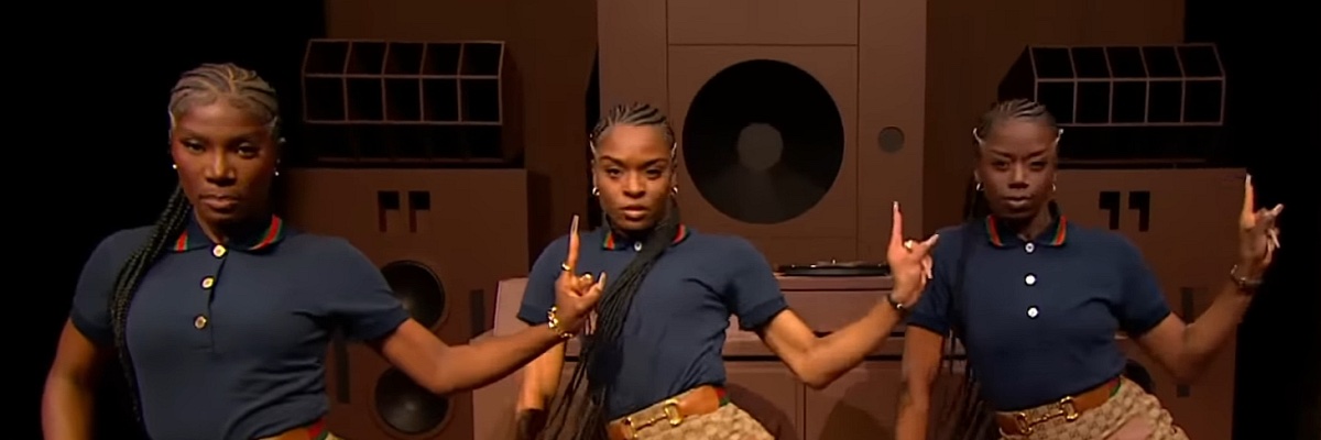 Nicole D. Porter (she/her) banner