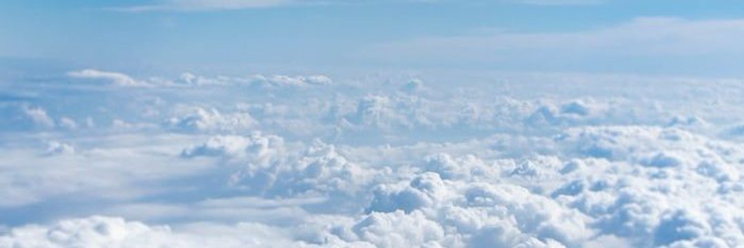 HustlaVividor94 banner