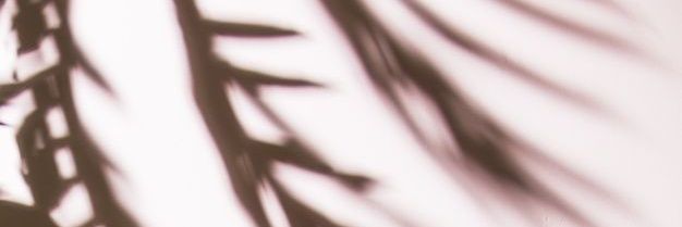 CandeCegna's profile banner image
