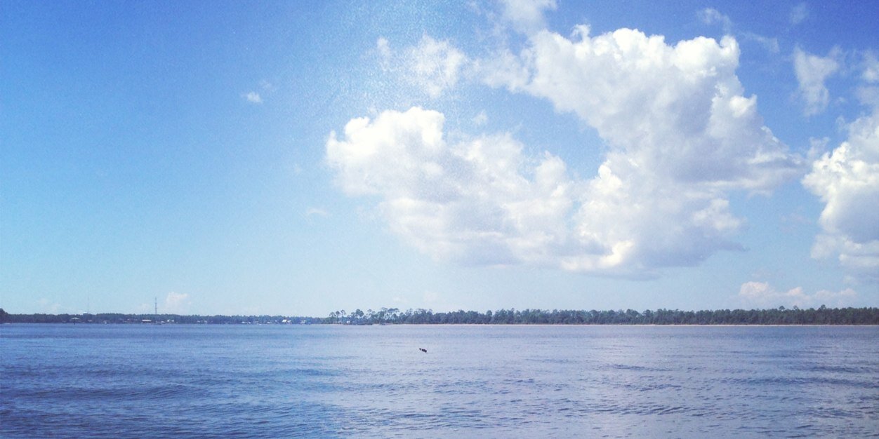 amelia horton banner