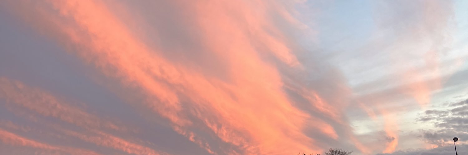 1217Tochigisc's profile banner image