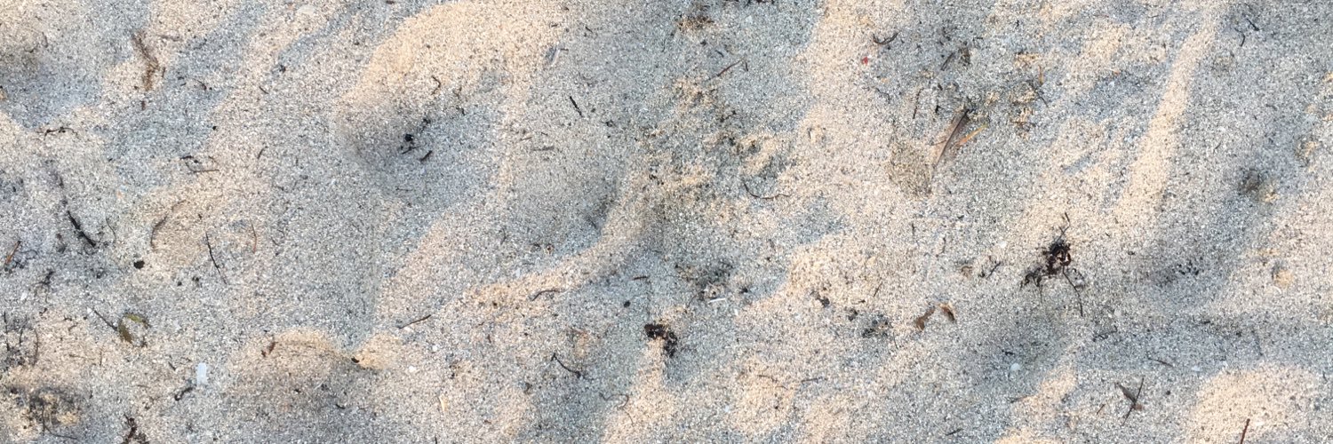 Justeenc's profile banner image