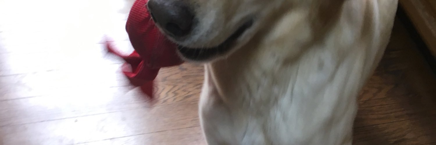 酌み交わすふたばたち banner