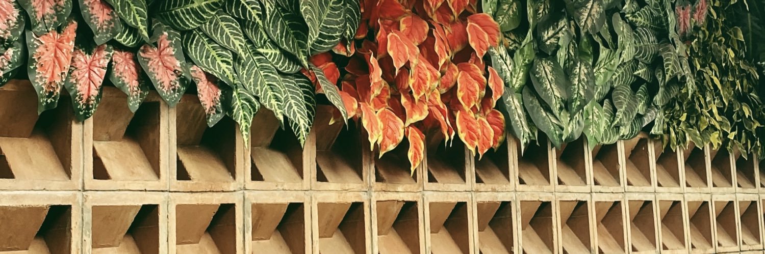 nuuluul's profile banner image