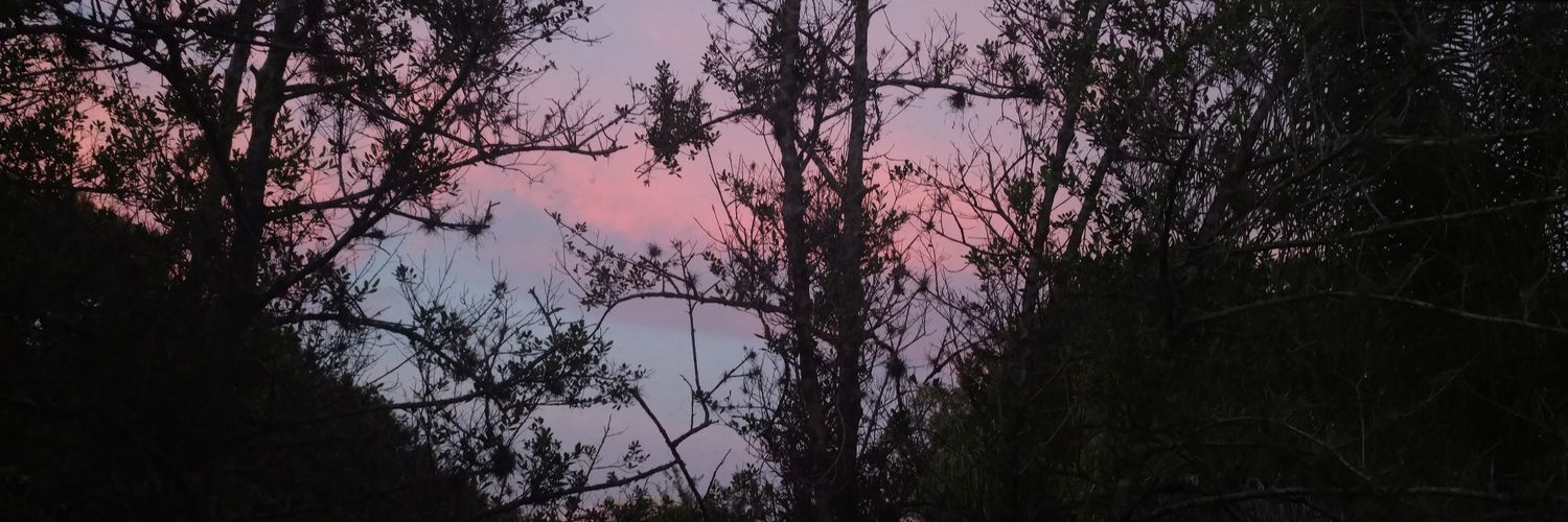 Laurelatable's profile banner image