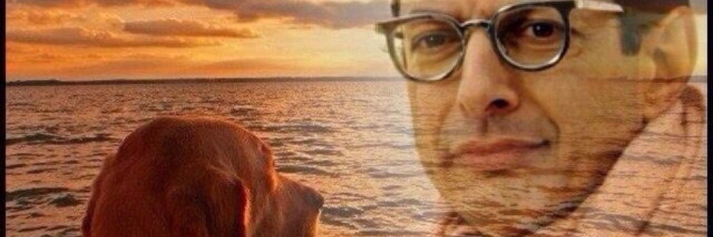 awwthatsnice's profile banner image